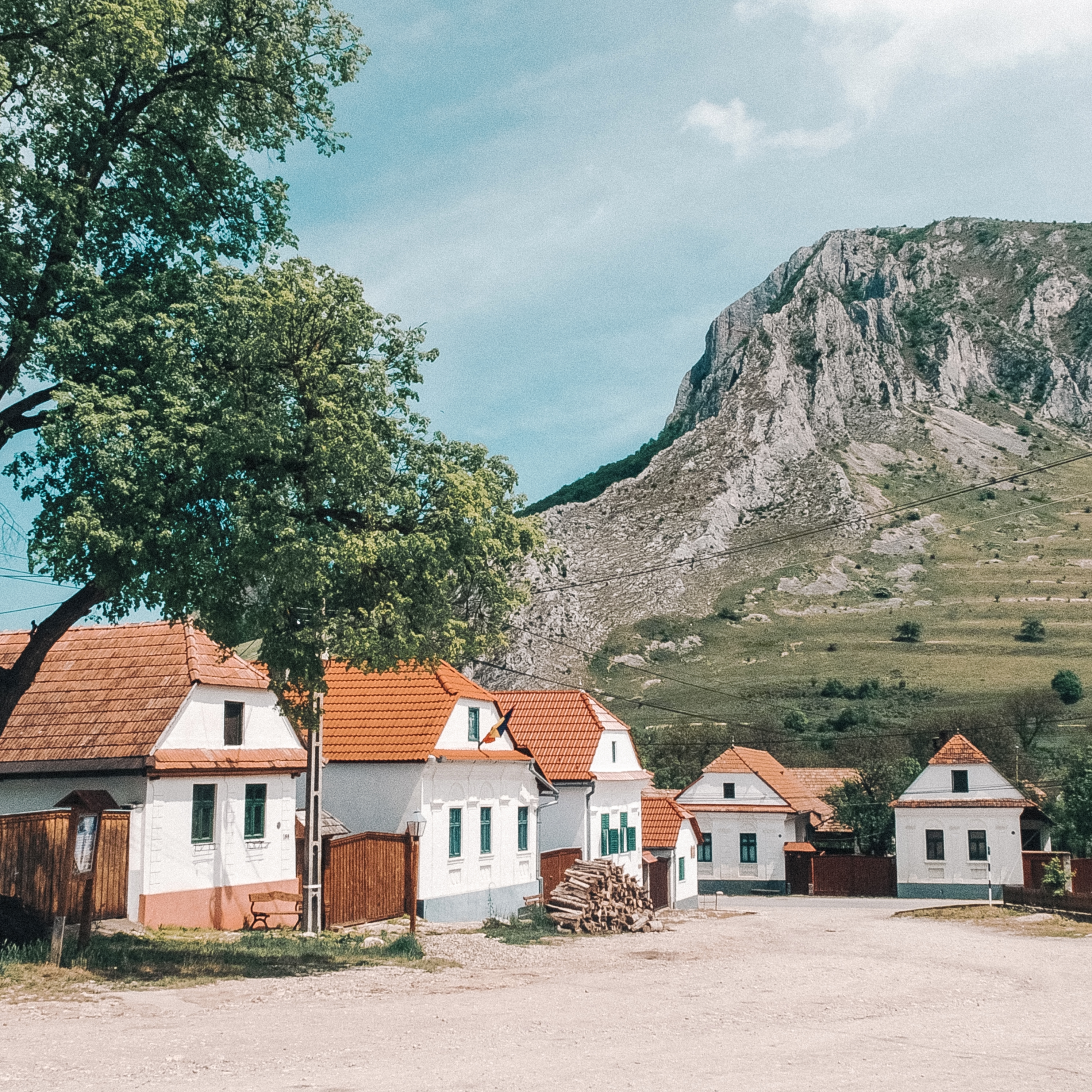 Batra2 DanMoga - Dan Moga