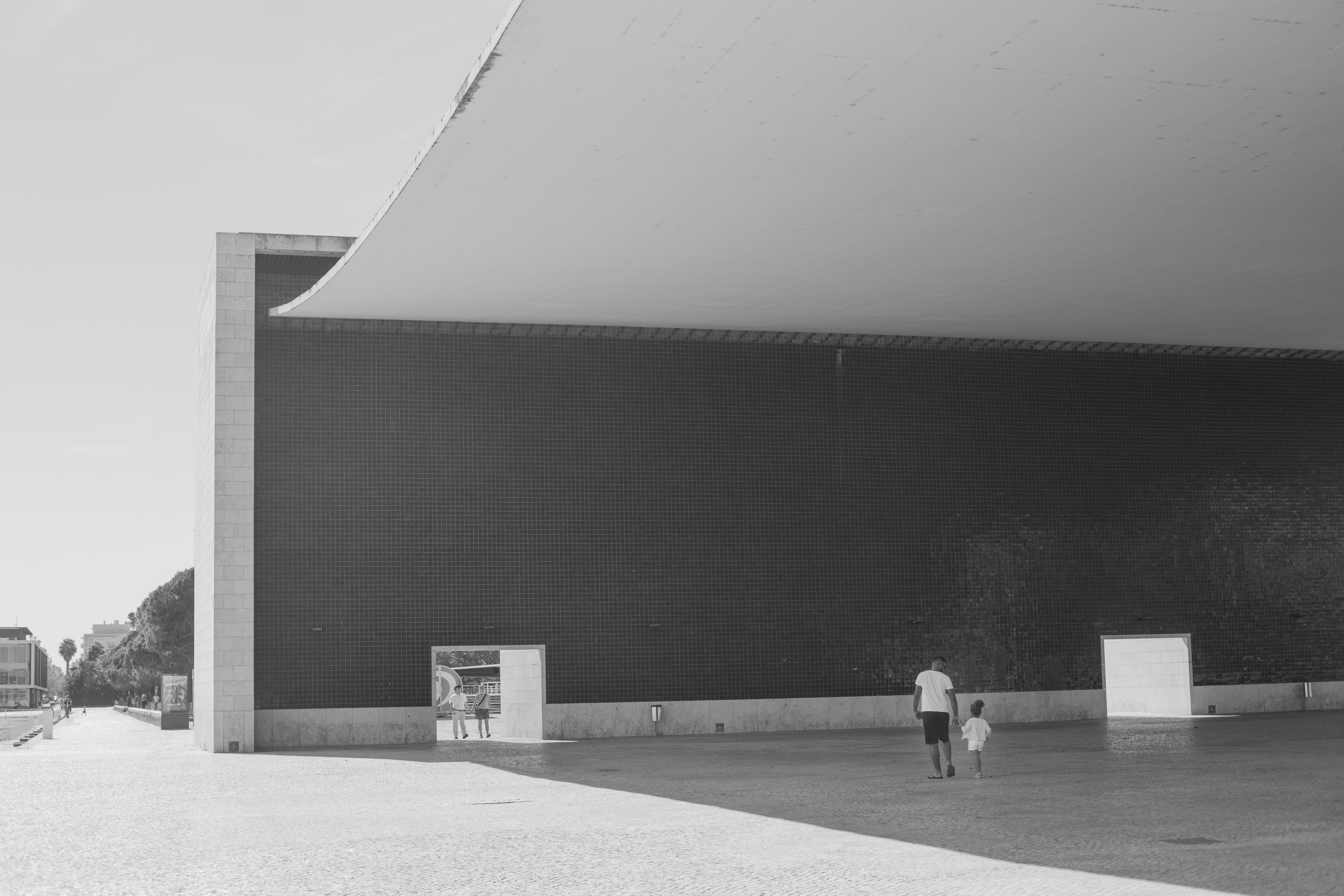 Adapost - Victor Balutiu