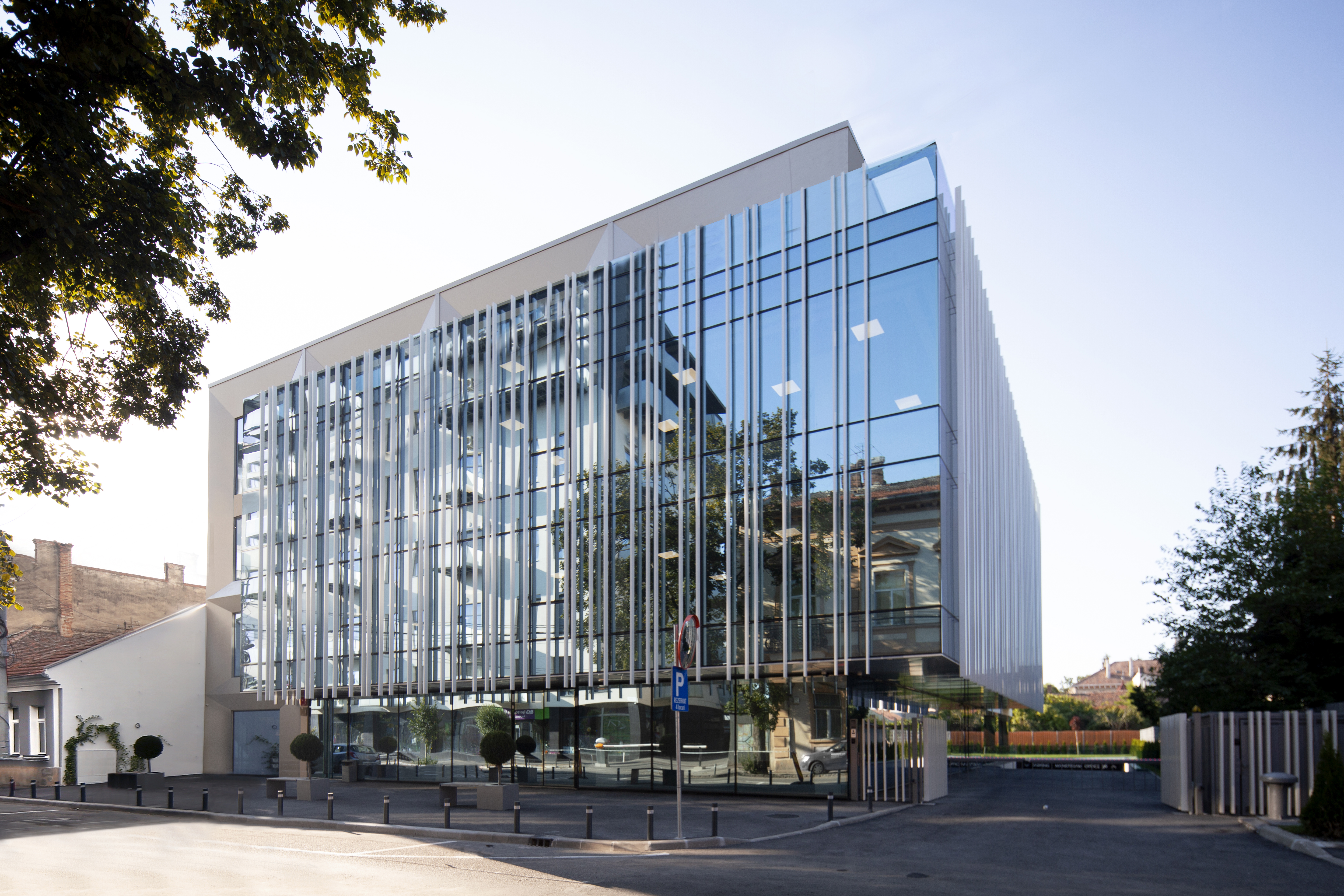 Evo Center 01 - Eliza Jurca