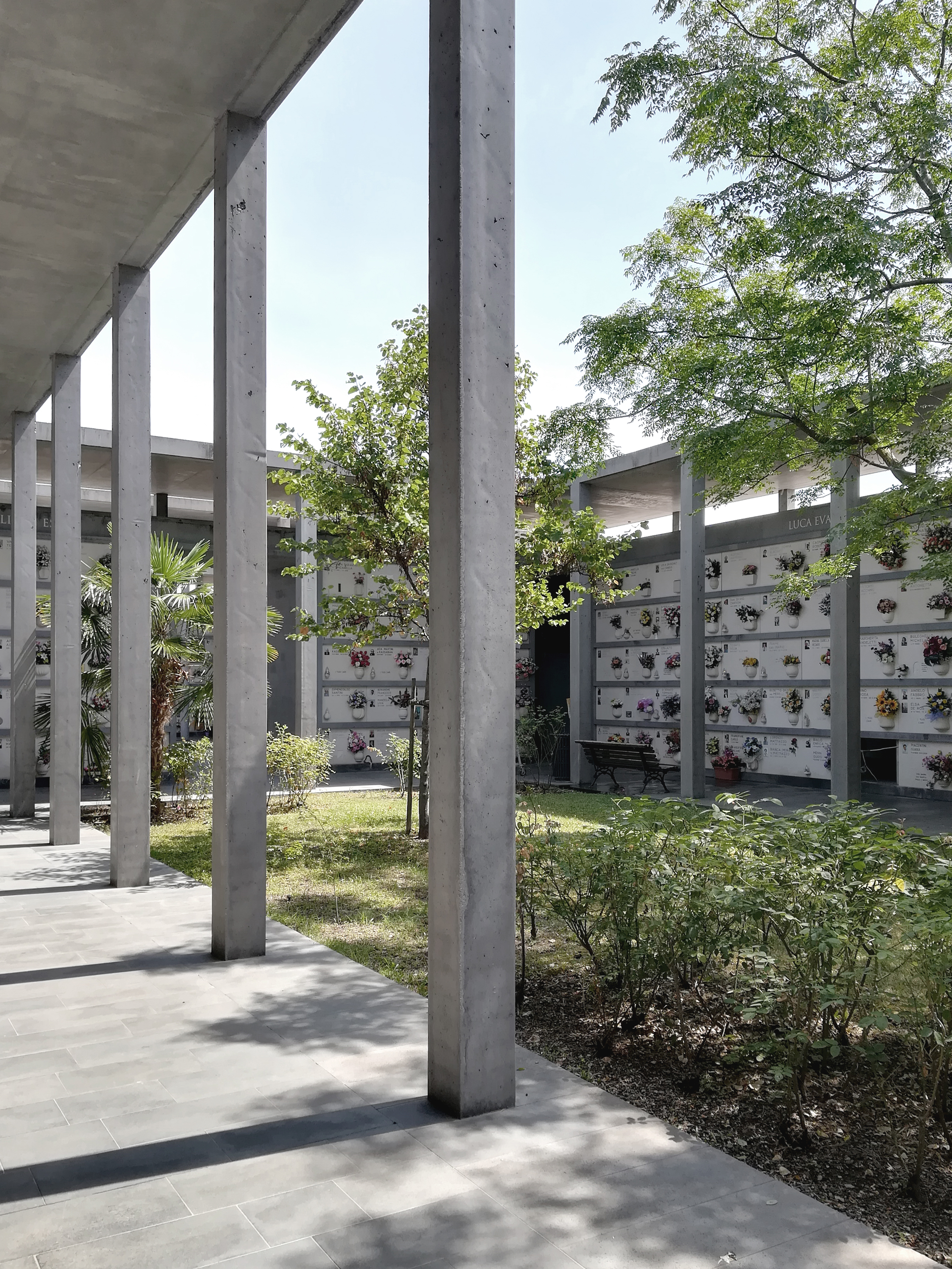 Intru conectare si regasire - Stefania Lupan