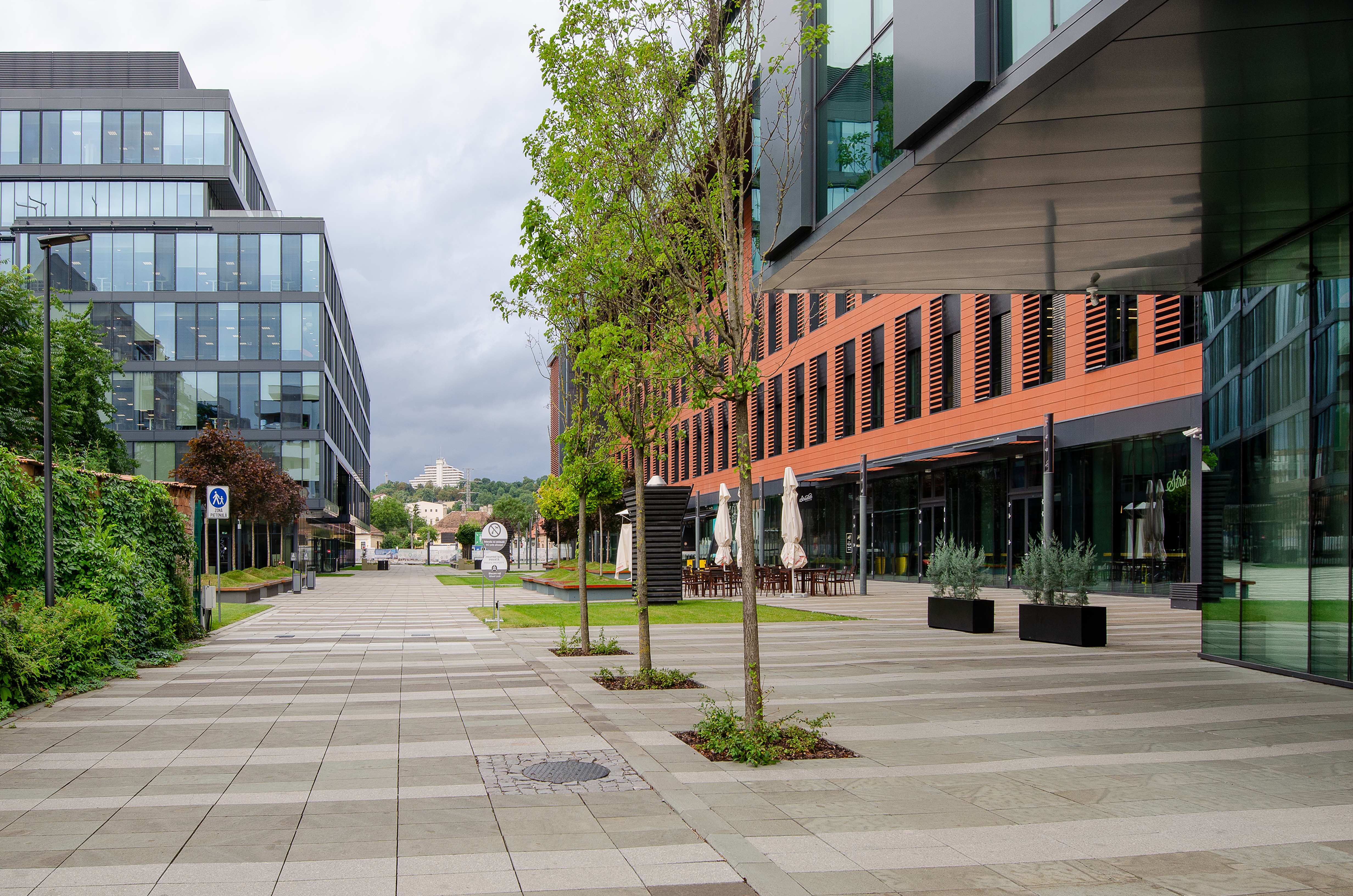 12.2 Fotografie - Razvan Nemtau