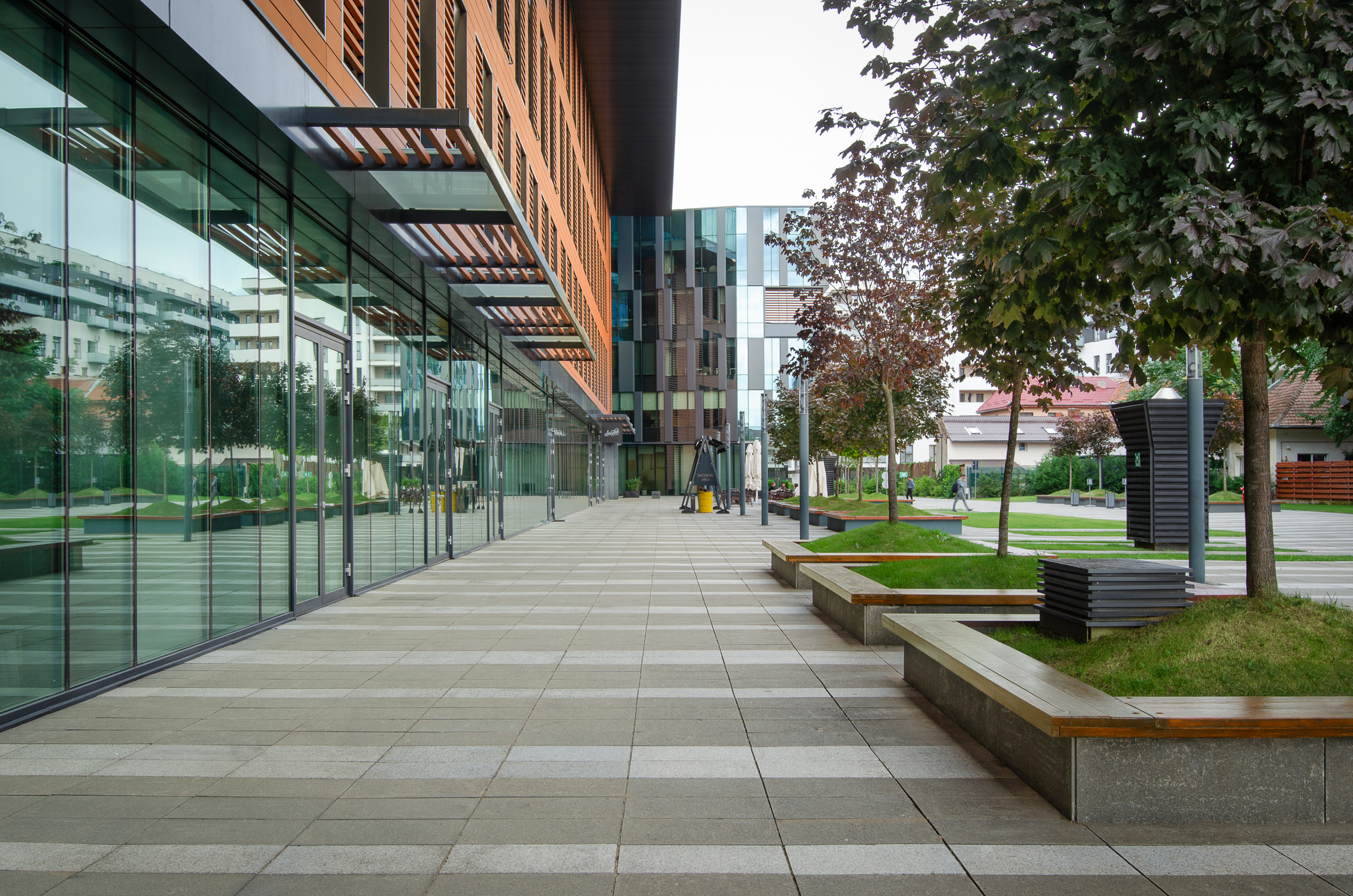 12.3 Fotografie - Razvan Nemtau