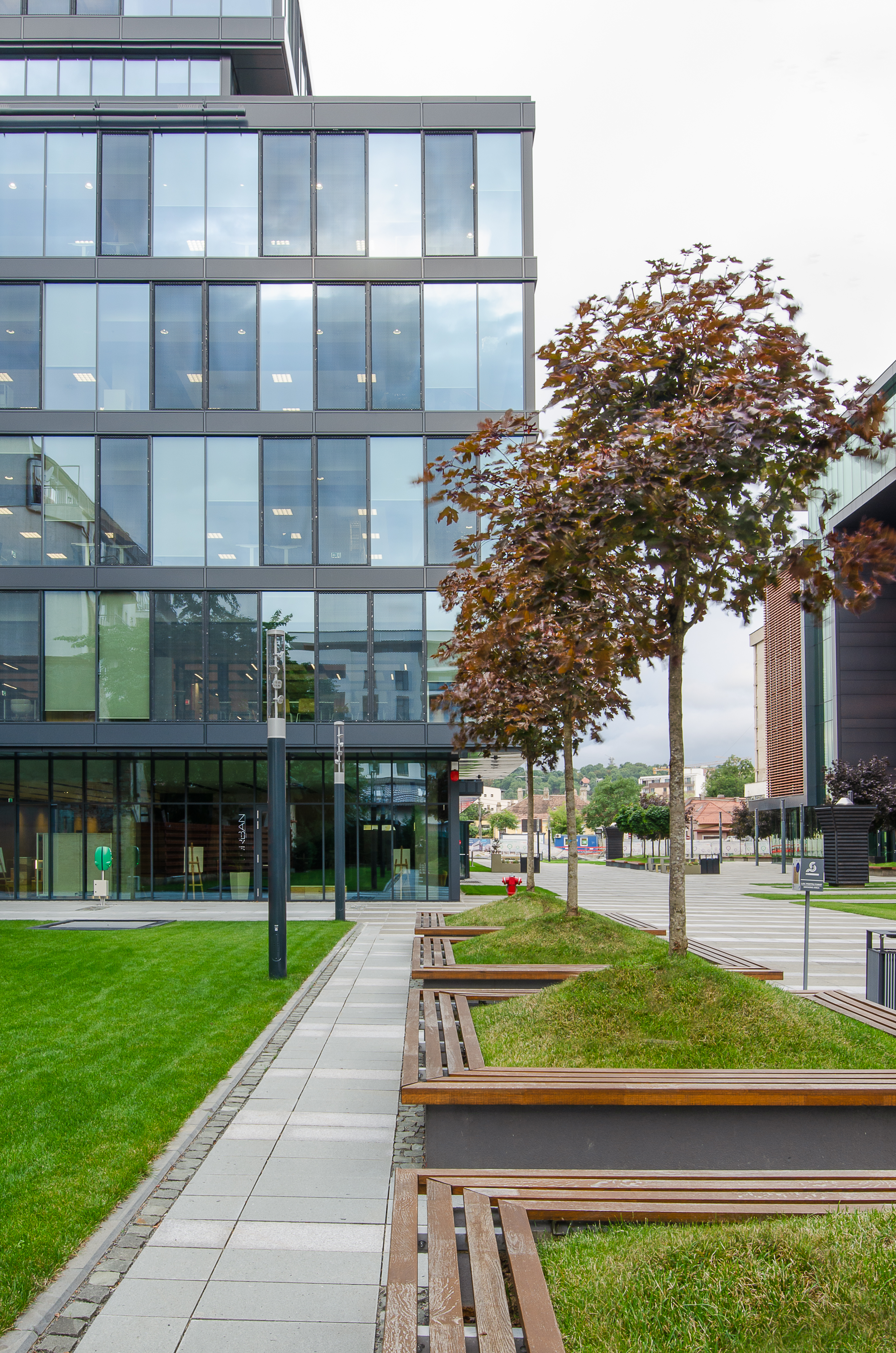 12.4 Fotografie - Razvan Nemtau