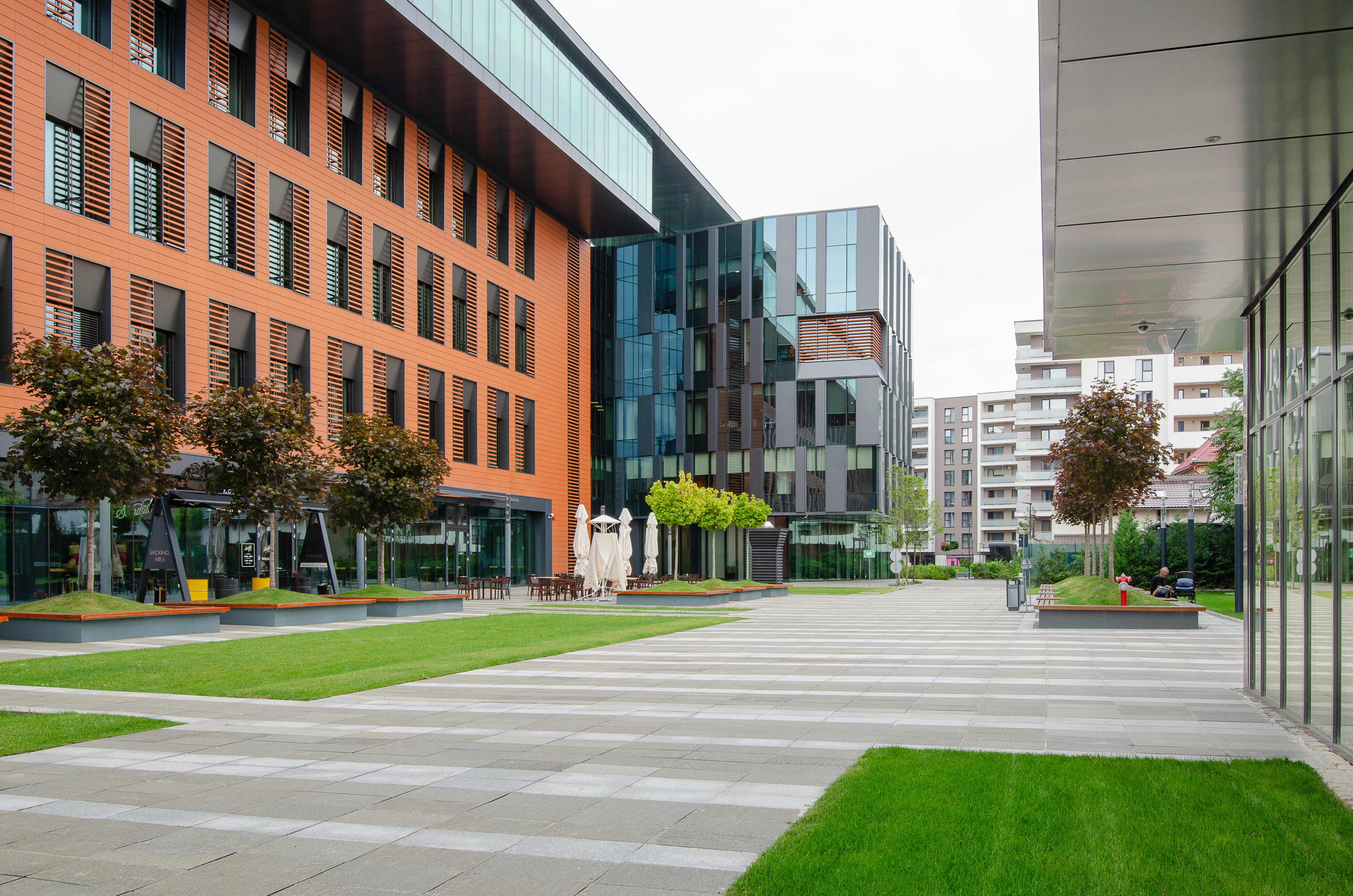 12.5 Fotografie - Razvan Nemtau