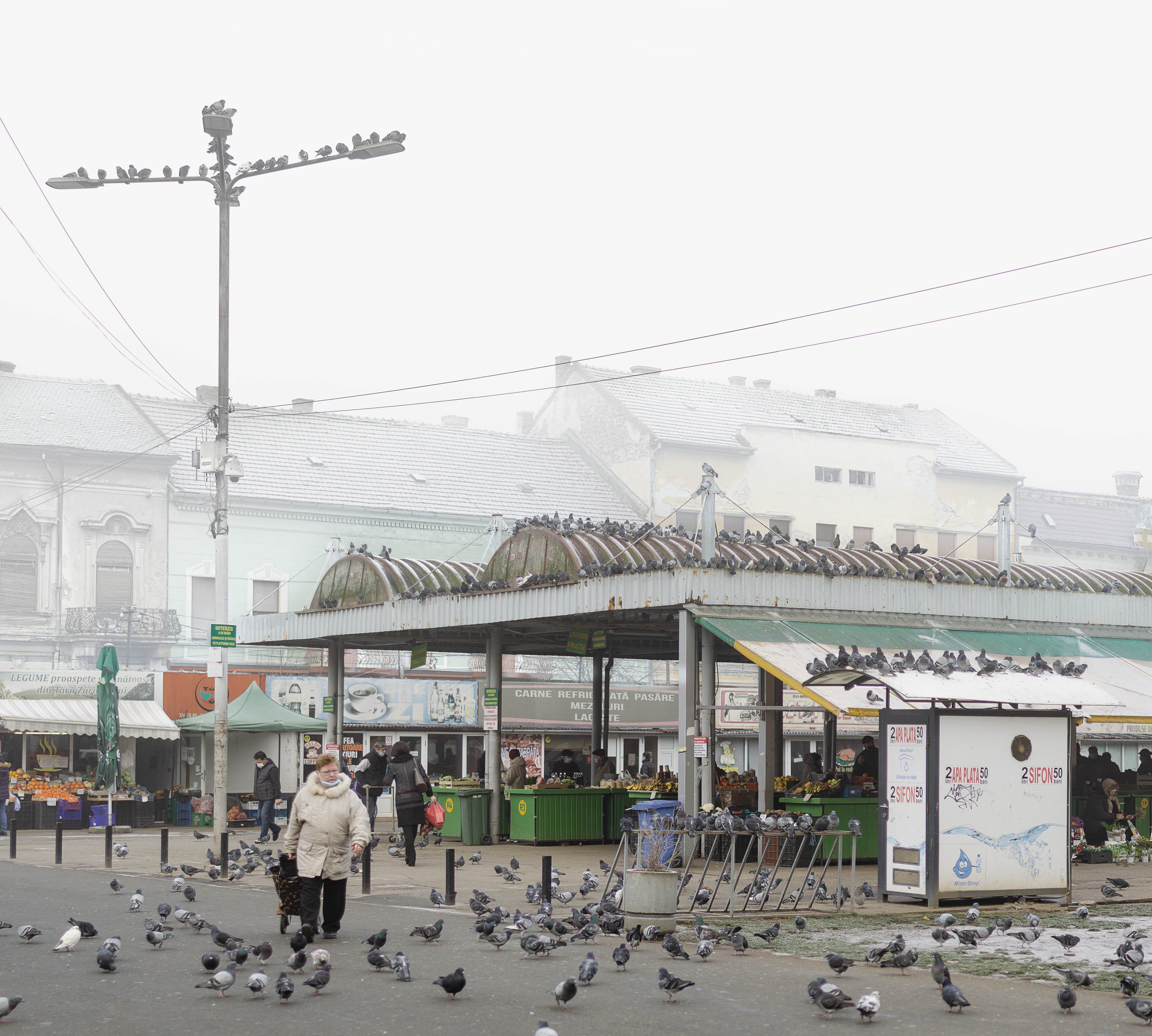 12.2 Fotografie - Razvan Nemtau