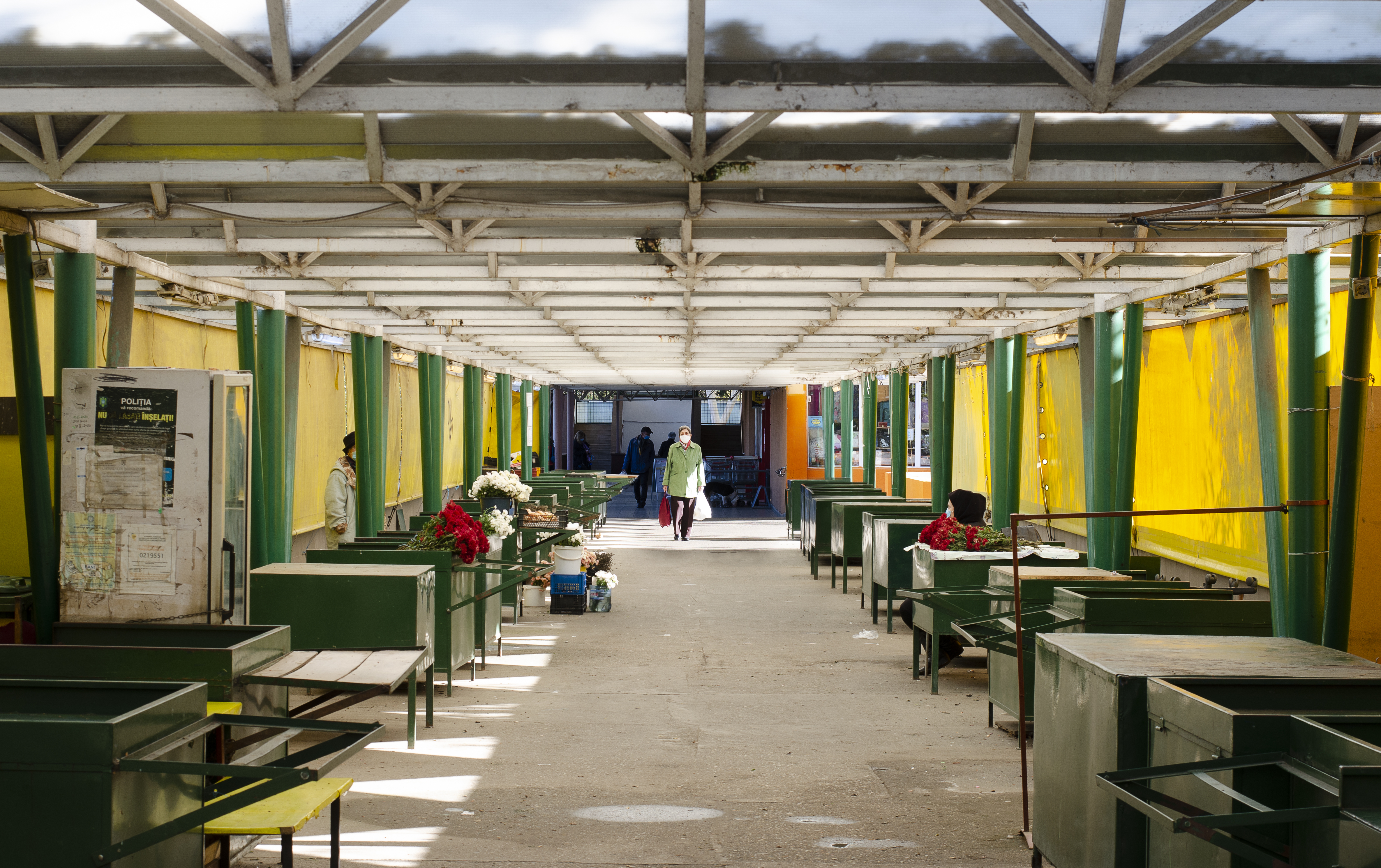 12.3 Fotografie - Razvan Nemtau