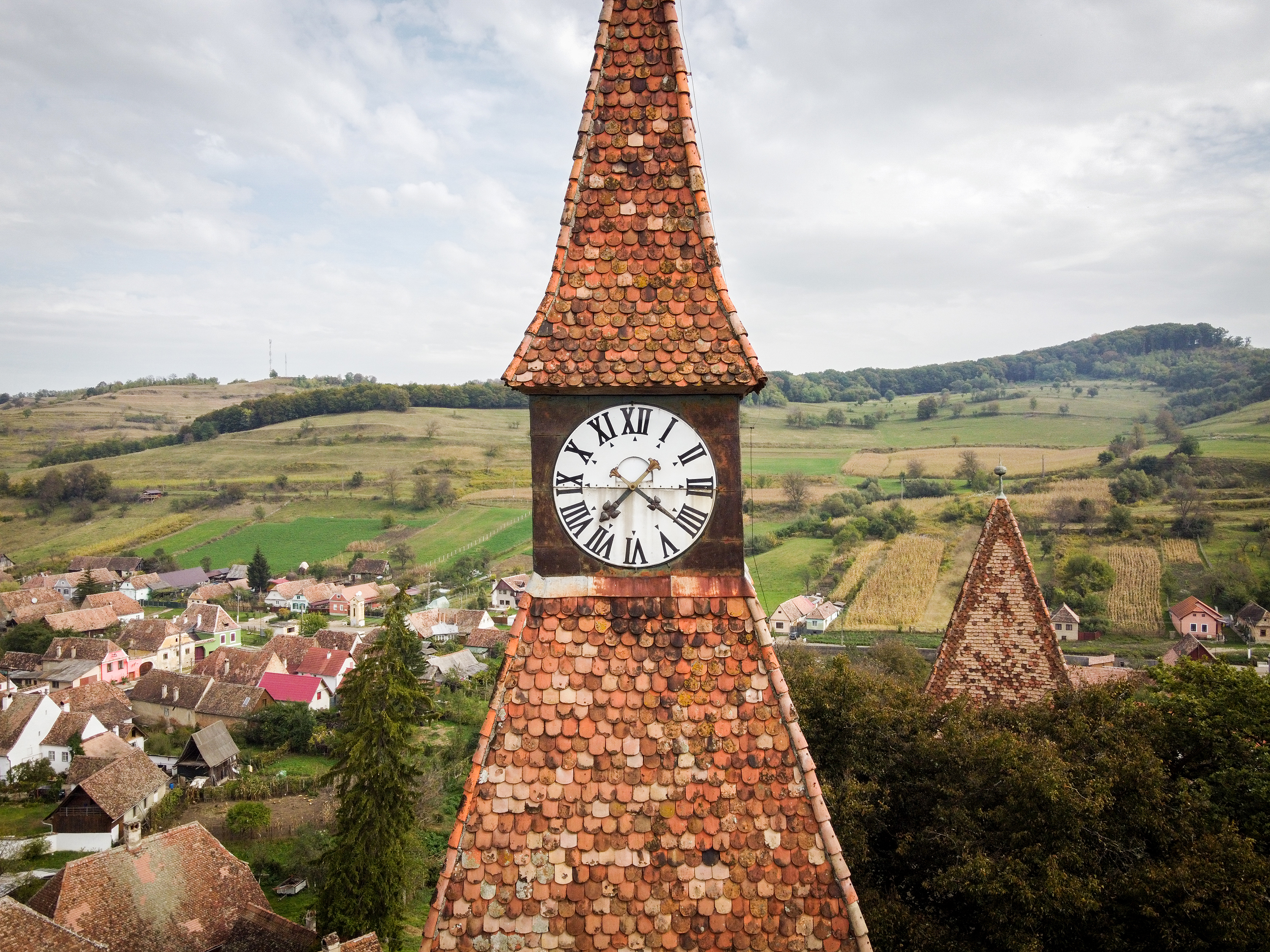 batra2021 Farkas Endre 1 - Endre Farkas